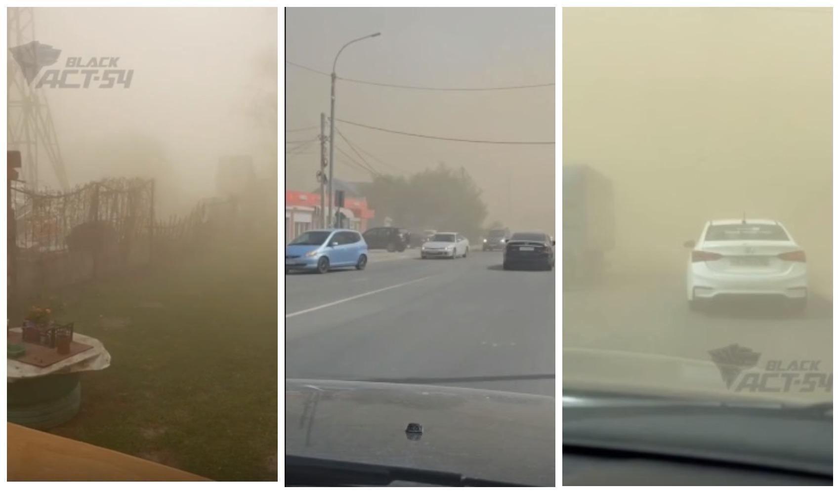 Фото Мэр Новосибирска Анатолий Локоть раскритиковал главу департамента ЖКХ за отчет по пылевой буре 2